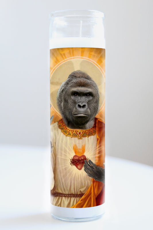 Harambe