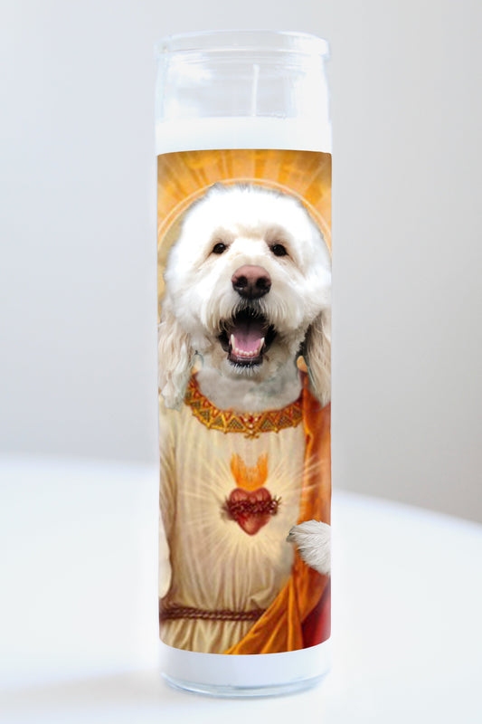 Goldendoodle